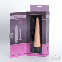 Erotissimo Loveshop 82 Phallus Gode Vibrant Réaliste