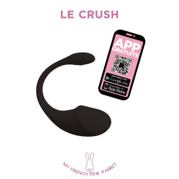 Erotissimo Loveshop 82 Oeuf Connexion Longue Distance vibrant