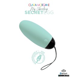 Erotissimo Loveshop 82 My Vibrating Secret oeuf vibrant USB