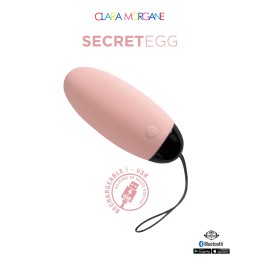 Erotissimo Loveshop 82 My Vibrating Secret oeuf vibrant USB