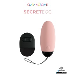 Erotissimo Loveshop 82 My Vibrating Secret oeuf vibrant USB