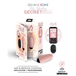 Erotissimo Loveshop 82 My Vibrating Secret oeuf vibrant USB