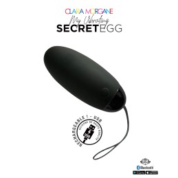 Erotissimo Loveshop 82 My Vibrating Secret oeuf vibrant USB