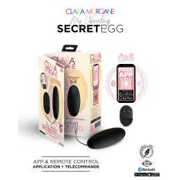 Erotissimo Loveshop 82 My Vibrating Secret oeuf vibrant USB