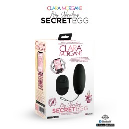 Erotissimo Loveshop 82 My Vibrating Secret oeuf vibrant USB